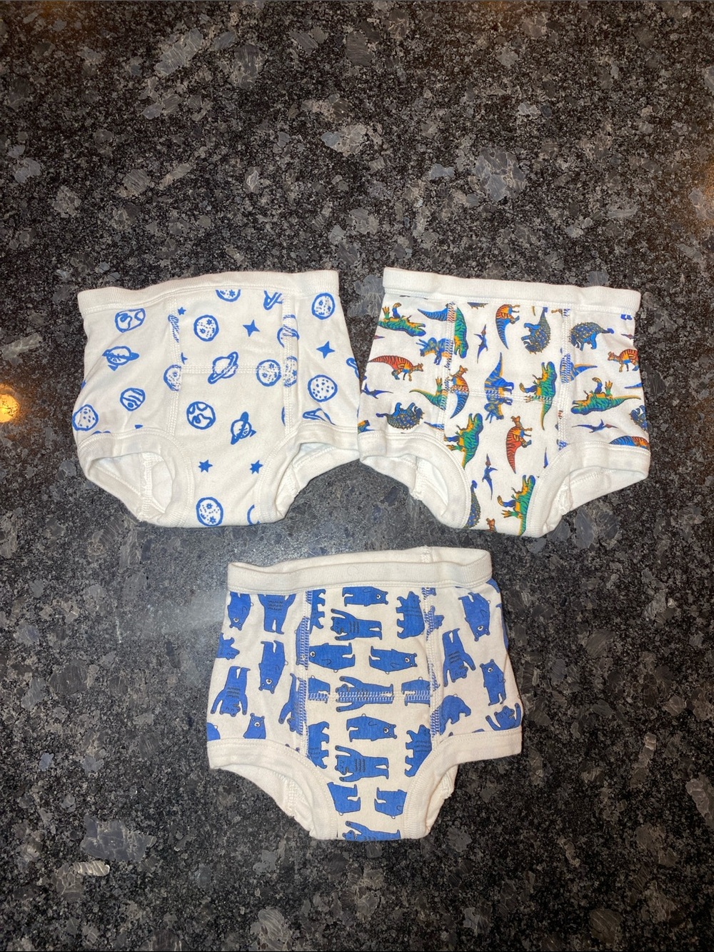 Hanna Andersson Training Underwear Organic Cotton Bears Space Dinosaur Sz XS